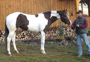 dscn5014.jpg