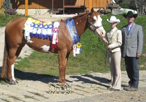 evropa-2012.jpg
