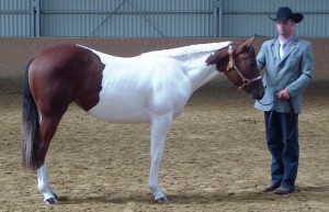 sam_1269.jpg